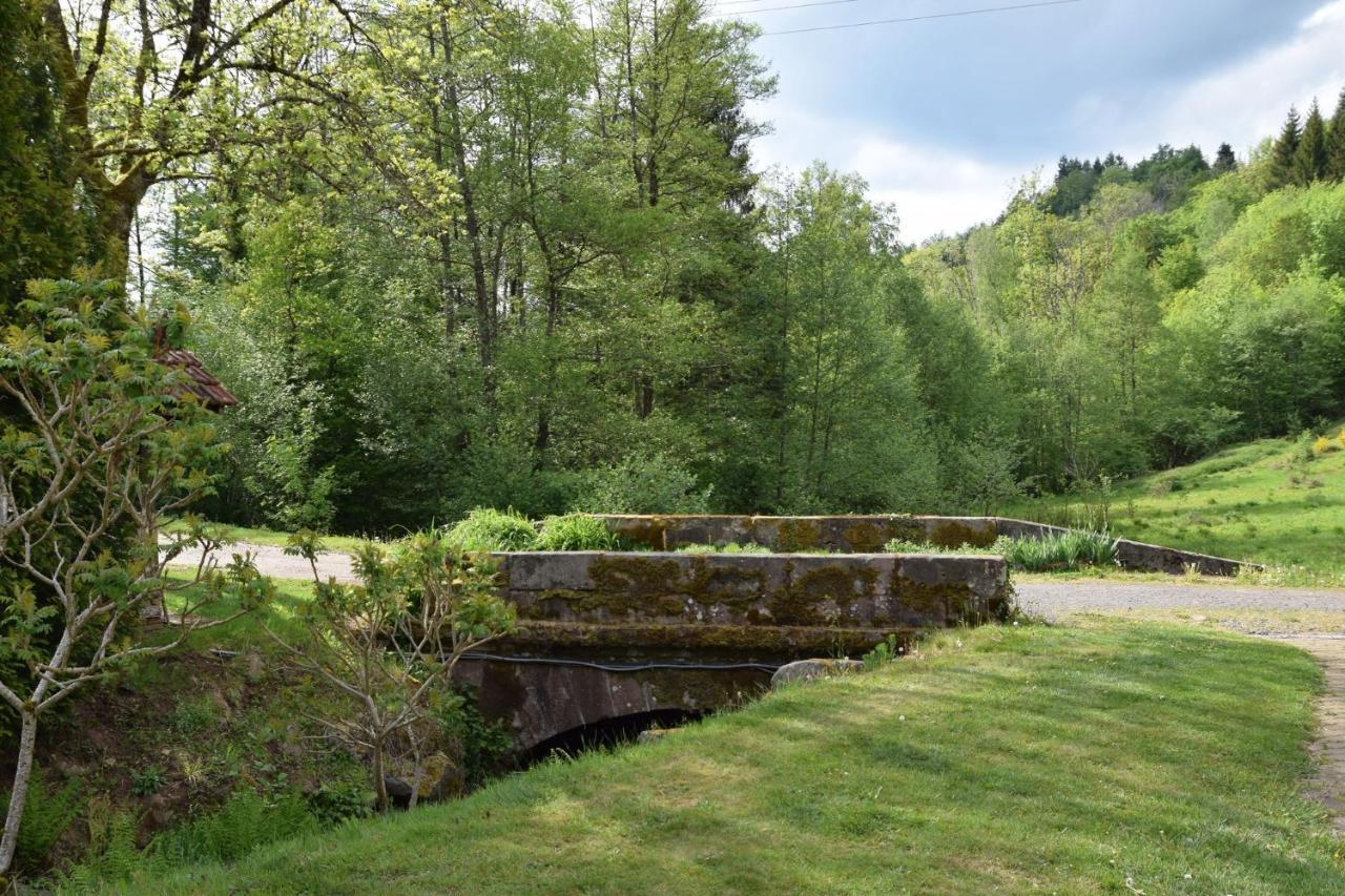 Vacance Conviviales Dans Les Vosges 8 Gites Ban-de-Sapt Eksteriør bilde