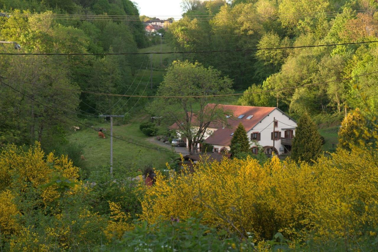 Vacance Conviviales Dans Les Vosges 8 Gites Ban-de-Sapt Eksteriør bilde
