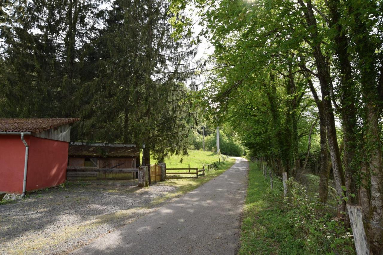 Vacance Conviviales Dans Les Vosges 8 Gites Ban-de-Sapt Eksteriør bilde
